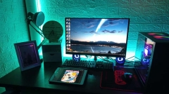 noval setup